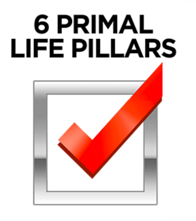 REWW Academy - Six Primal Life Pillars Course