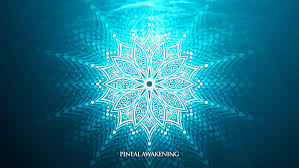 Digital C60 + Pineal Awakening + Digital CBD