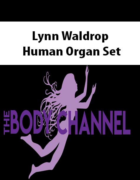 Lynn Waldrop – Human Organ Set