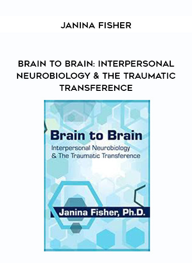 Brain to Brain: Interpersonal Neurobiology & The Traumatic Transference – Janina Fisher