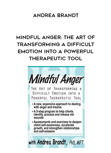 Mindful Anger: The Art of Transforming a Difficult Emotion into a Powerful Therapeutic Tool – Andrea Brandt