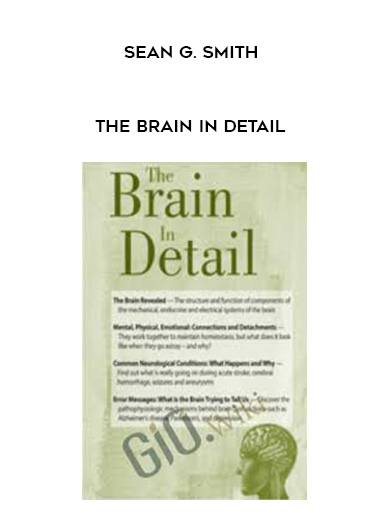 The Brain in Detail – Sean G. Smith