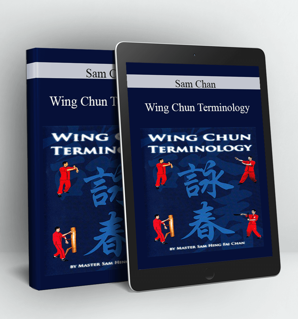 Wing Chun Terminology - Sam Chan