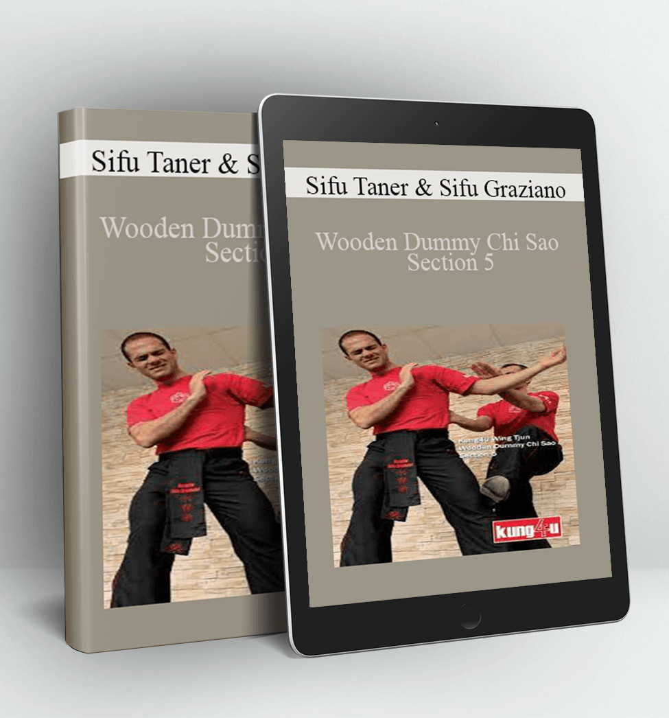 Wooden Dummy Chi Sao Section 5 - Sifu Taner & Sifu Graziano