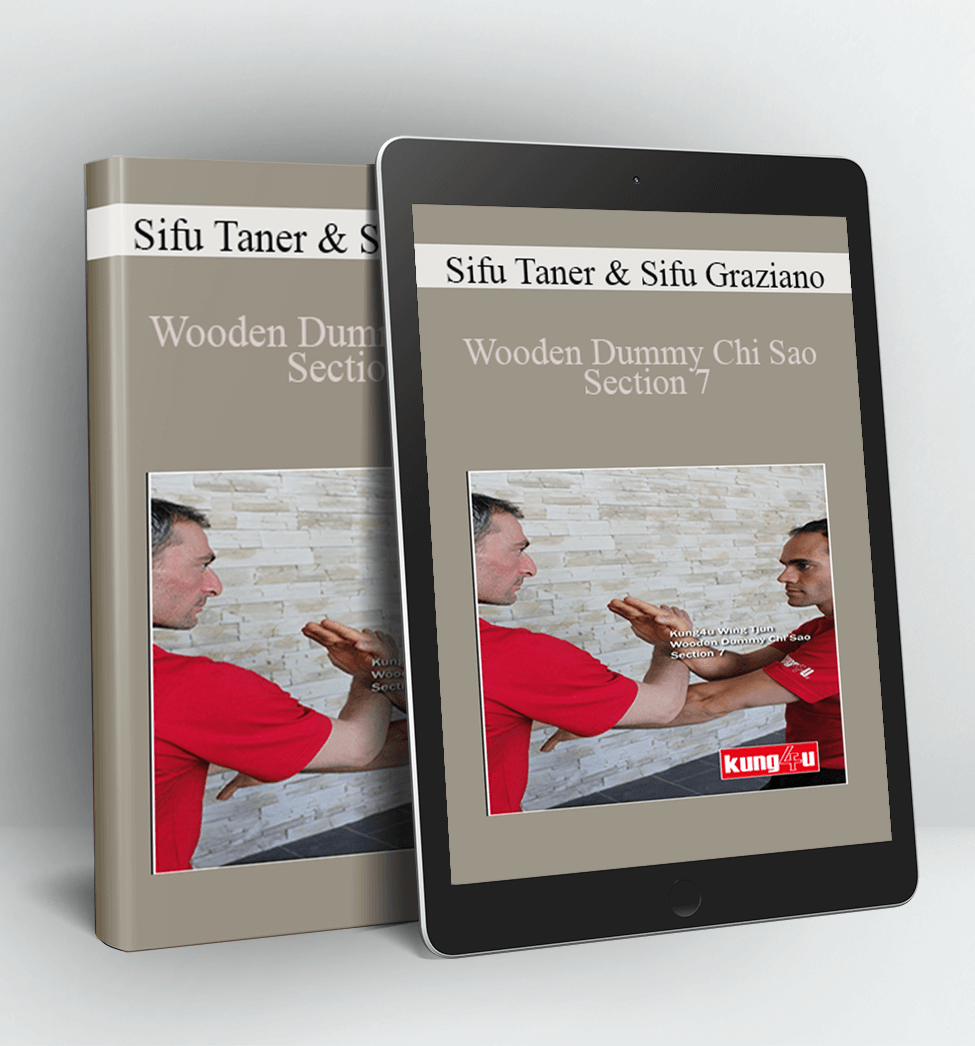 Wooden Dummy Chi Sao Section 7 - Sifu Taner & Sifu Graziano