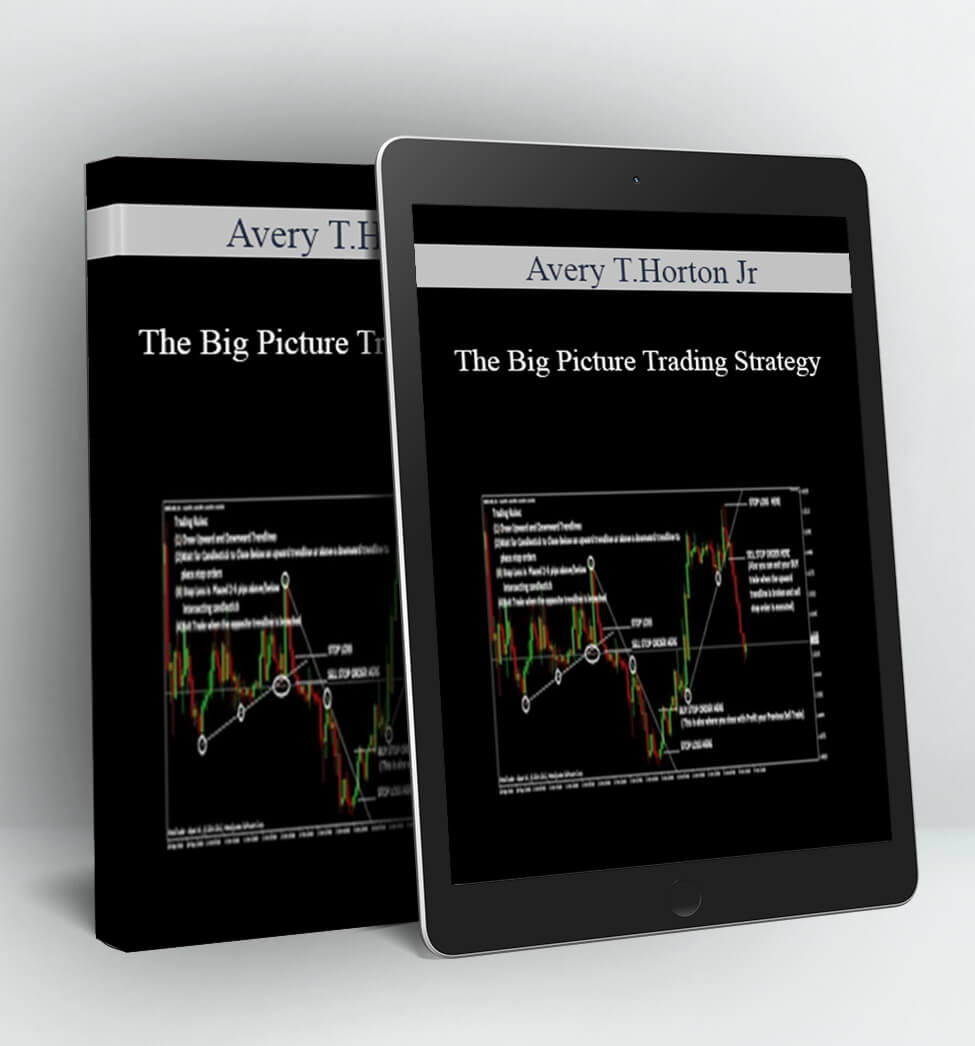 The Big Picture Trading Strategy - Avery T.Horton Jr