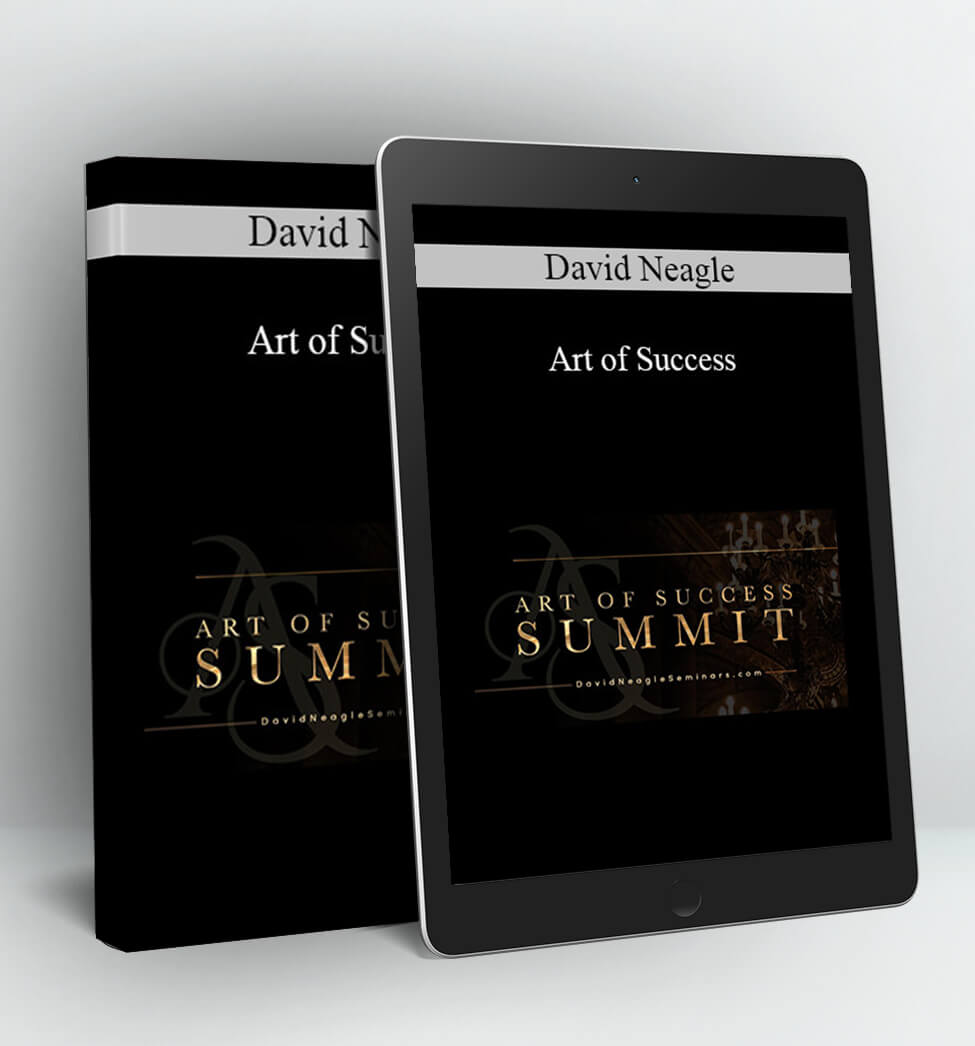 Art of Success - David Neagle