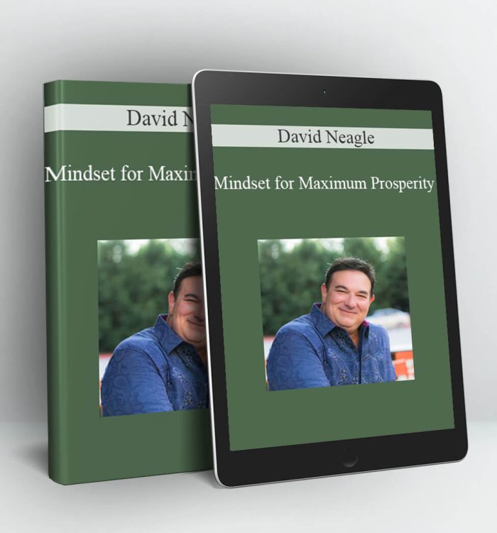 Mindset for Maximum Prosperity - David Neagle