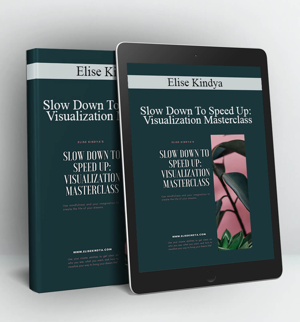 Slow Down To Speed Up: Visualization Masterclass - Elise Kindya