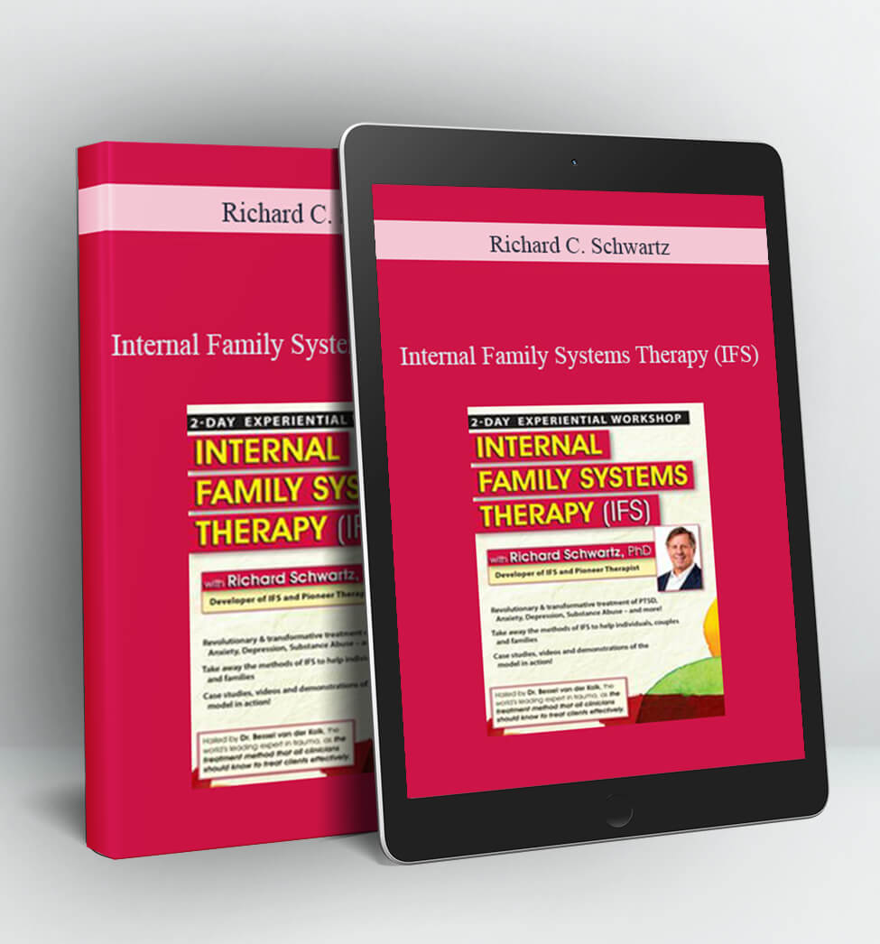 Internal Family Systems Therapy (IFS): A Revolutionary & Transformative Treatment of PTSD, Anxiety, Depression, Substance Abuse – and More! - Richard C. Schwartz