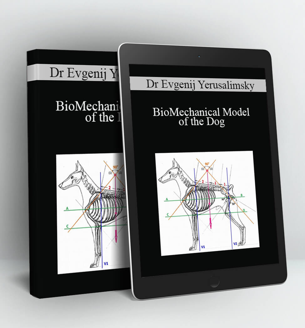 BioMechanical Model of the Dog - Dr Evgenij Yerusalimsky