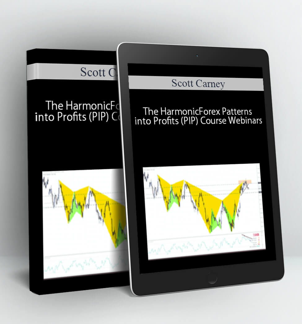 The HarmonicForex Patterns into Profits (PIP) Course Webinars - Scott Carney