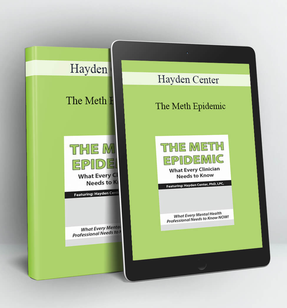 The Meth Epidemic - Hayden Center