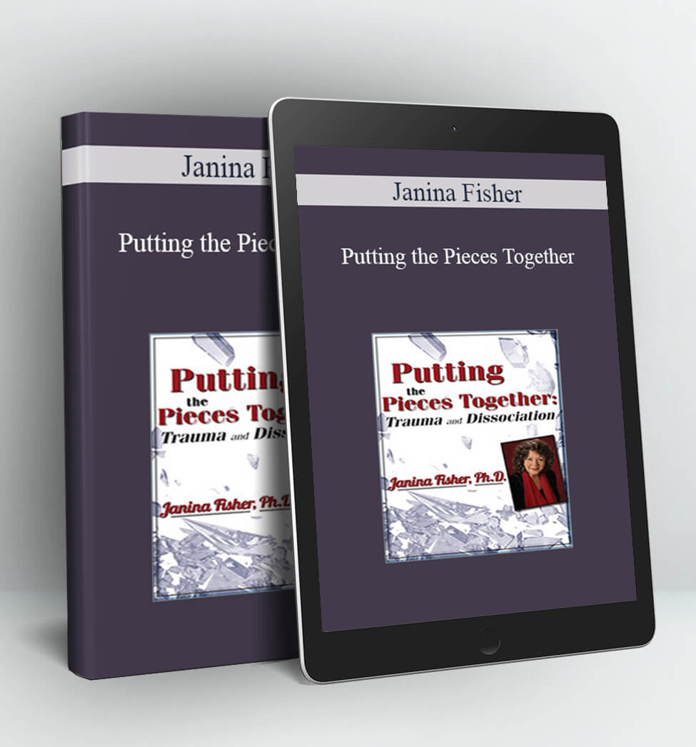 Putting the Pieces Together - Janina Fisher