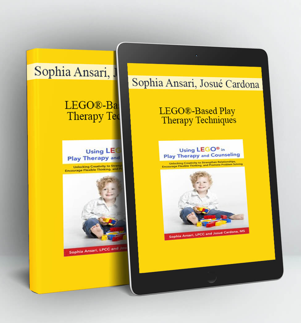 LEGO®-Based Play Therapy Techniques - Sophia Ansari