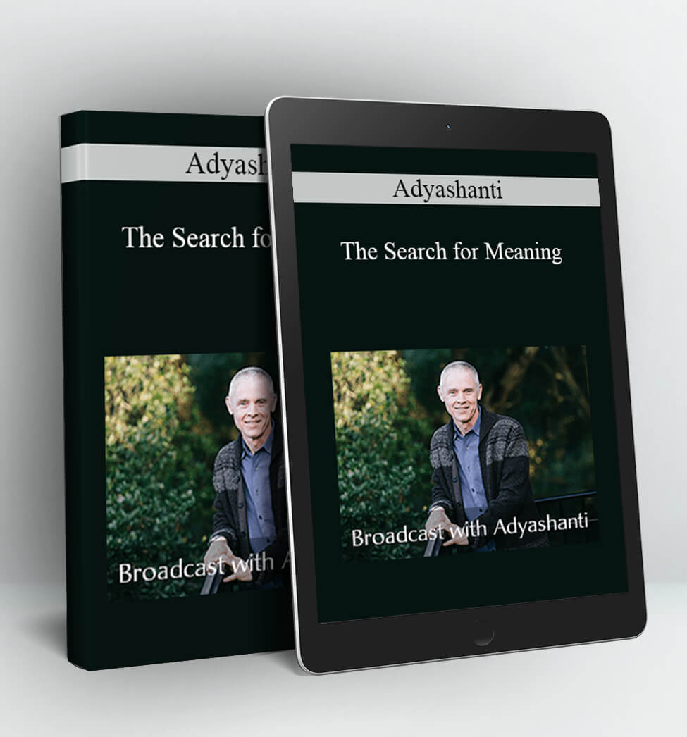 The Search for Meaning - Adyashanti