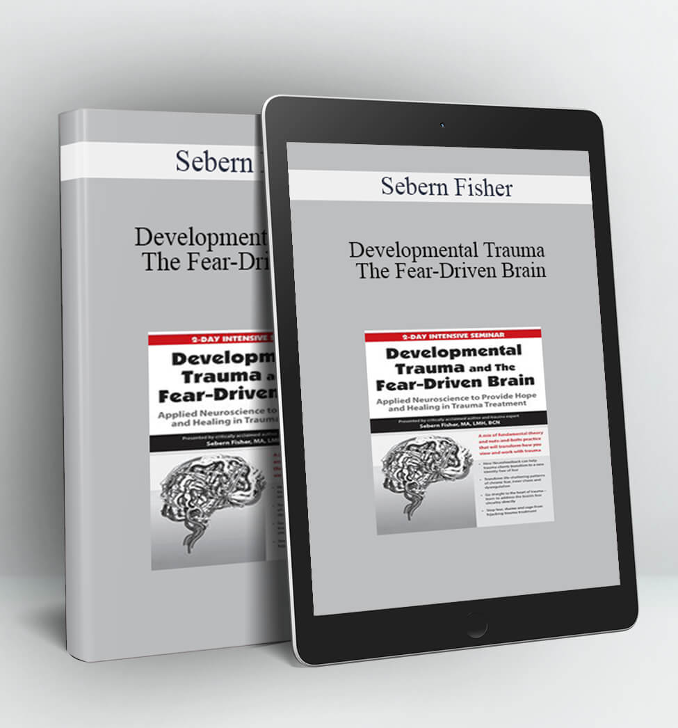 Developmental Trauma and The Fear-Driven Brain - Sebern Fisher