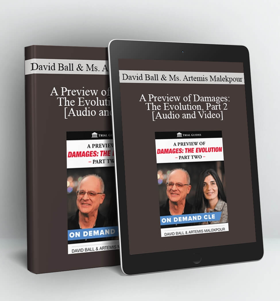 A Preview of Damages - David Ball & Artemis Malekpour