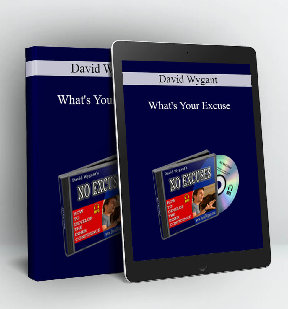 What's Your Excuse - David Wygant