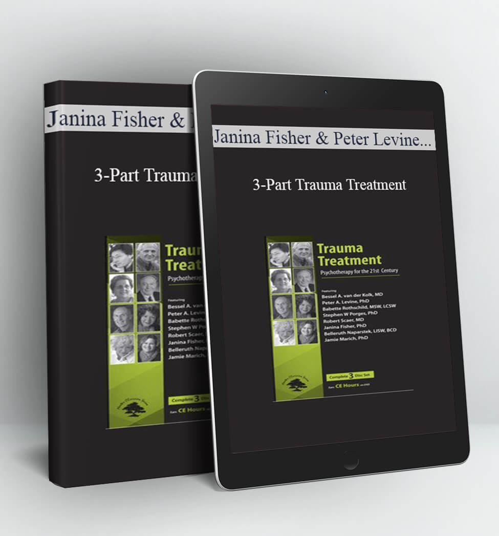 3-Part Trauma Treatment - Janina Fisher