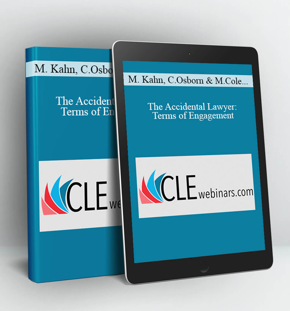 The Accidental Lawyer - Michael Kahn