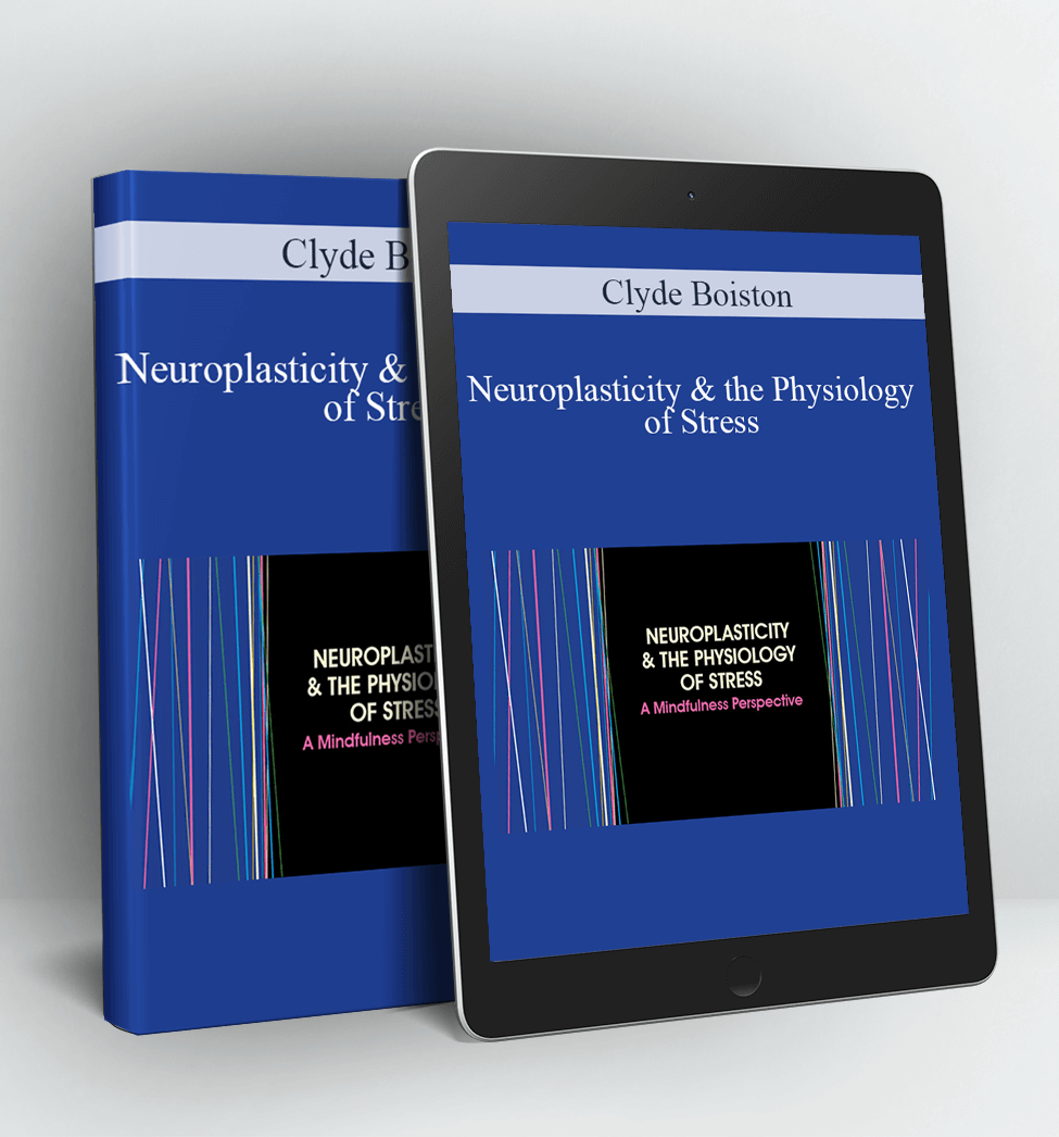 Neuroplasticity & the Physiology of Stress: A Mindfulness Perspective - Clyde Boiston